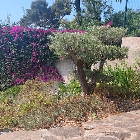 Villa Du Bau Rouge Carqueiranne Eksteriør bilde