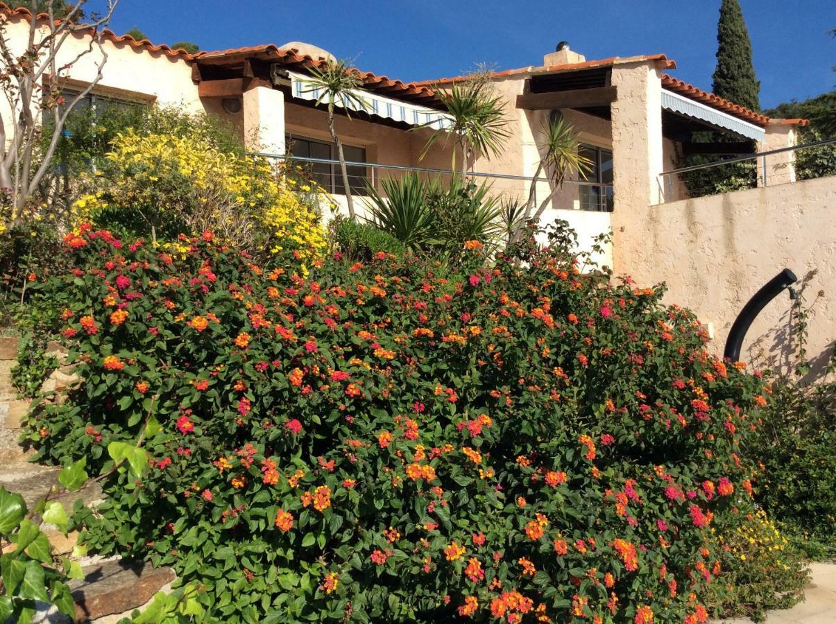 Villa Du Bau Rouge Carqueiranne Eksteriør bilde